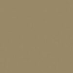 Latte +£64.00