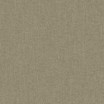 Krayola-Papyrus £0.00